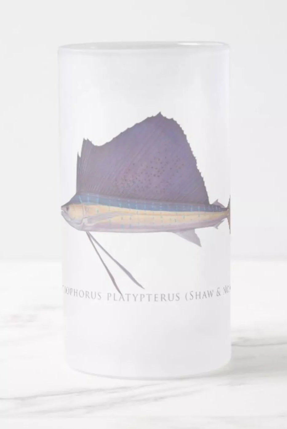 Sailfish - Frosted Glass Stein-Stick Figure Fish Illustration
