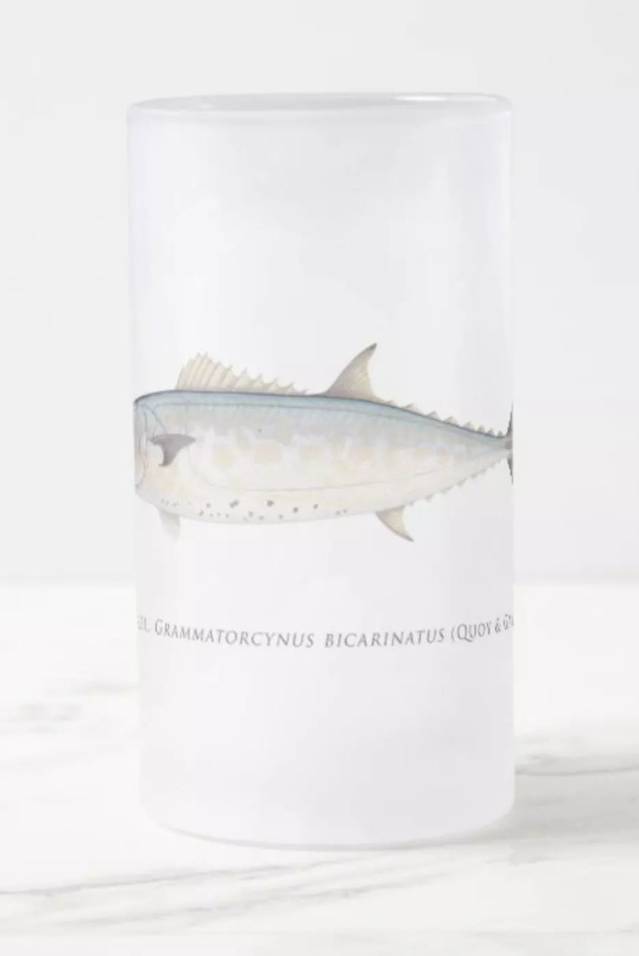 Shark Mackerel - Frosted Glass Stein-Stick Figure Fish Illustration