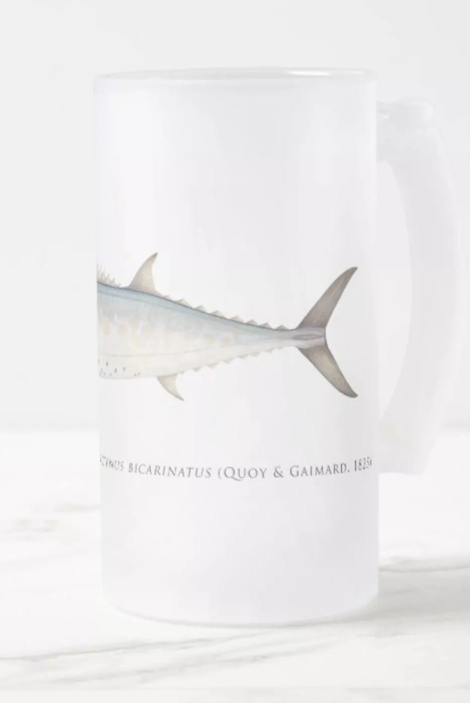 Shark Mackerel - Frosted Glass Stein-Stick Figure Fish Illustration