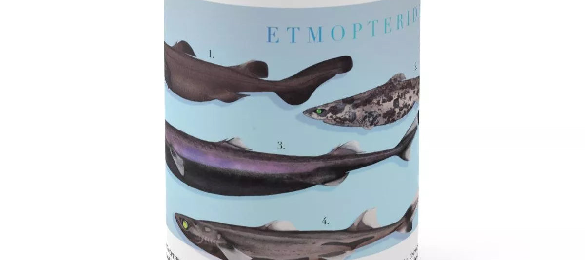 Sharks of the Deep 2023 Calendar - Mug-Stick Figure Fish Illustration