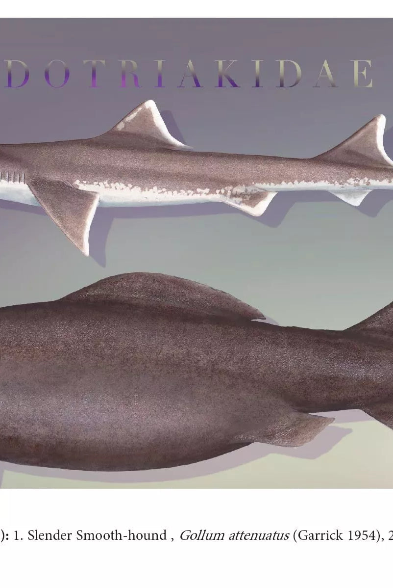 Sharks of the Deep 2023 Calendar - Mug-Stick Figure Fish Illustration