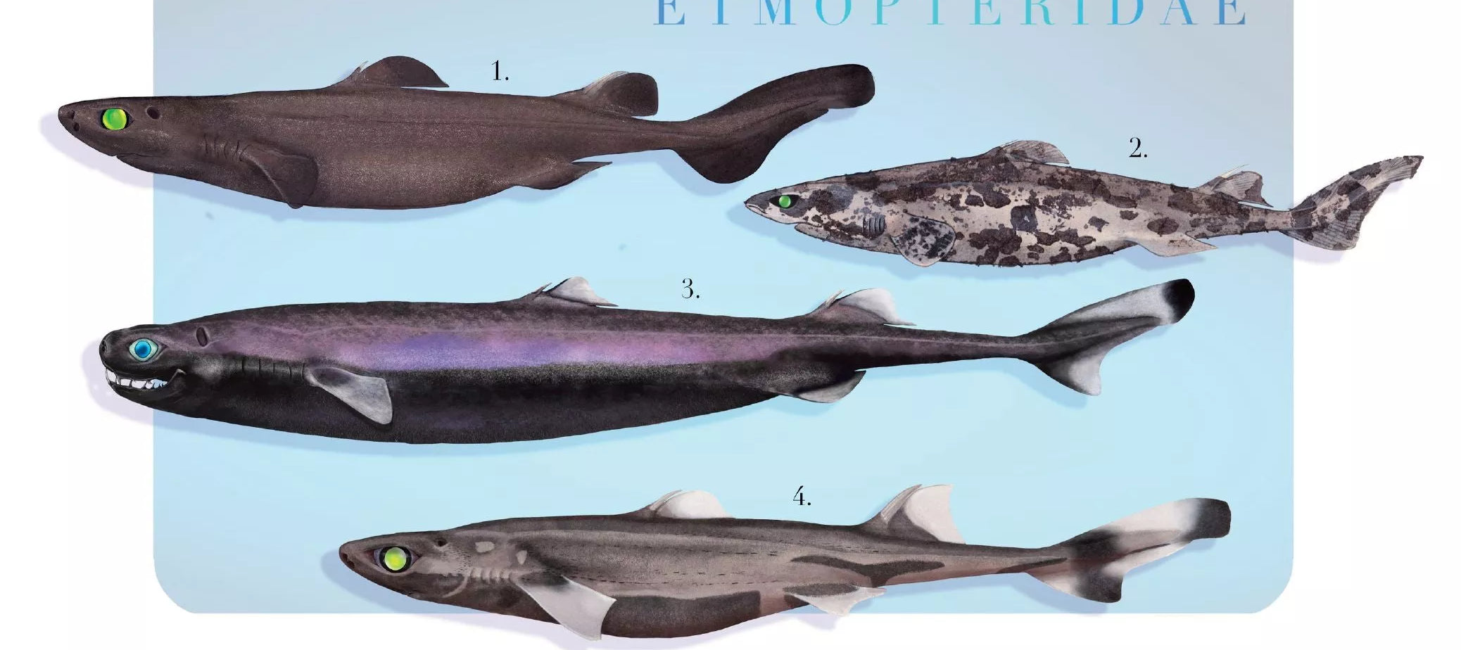 Sharks of the Deep 2023 Calendar - Mug-Stick Figure Fish Illustration