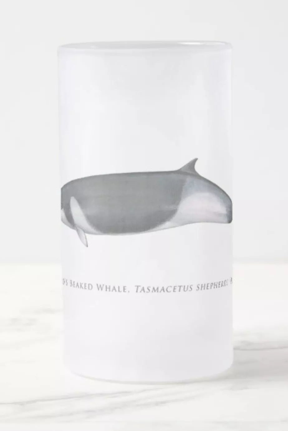 Shepherd's Beaked Whale - Frosted Glass Stein-Stick Figure Fish Illustration