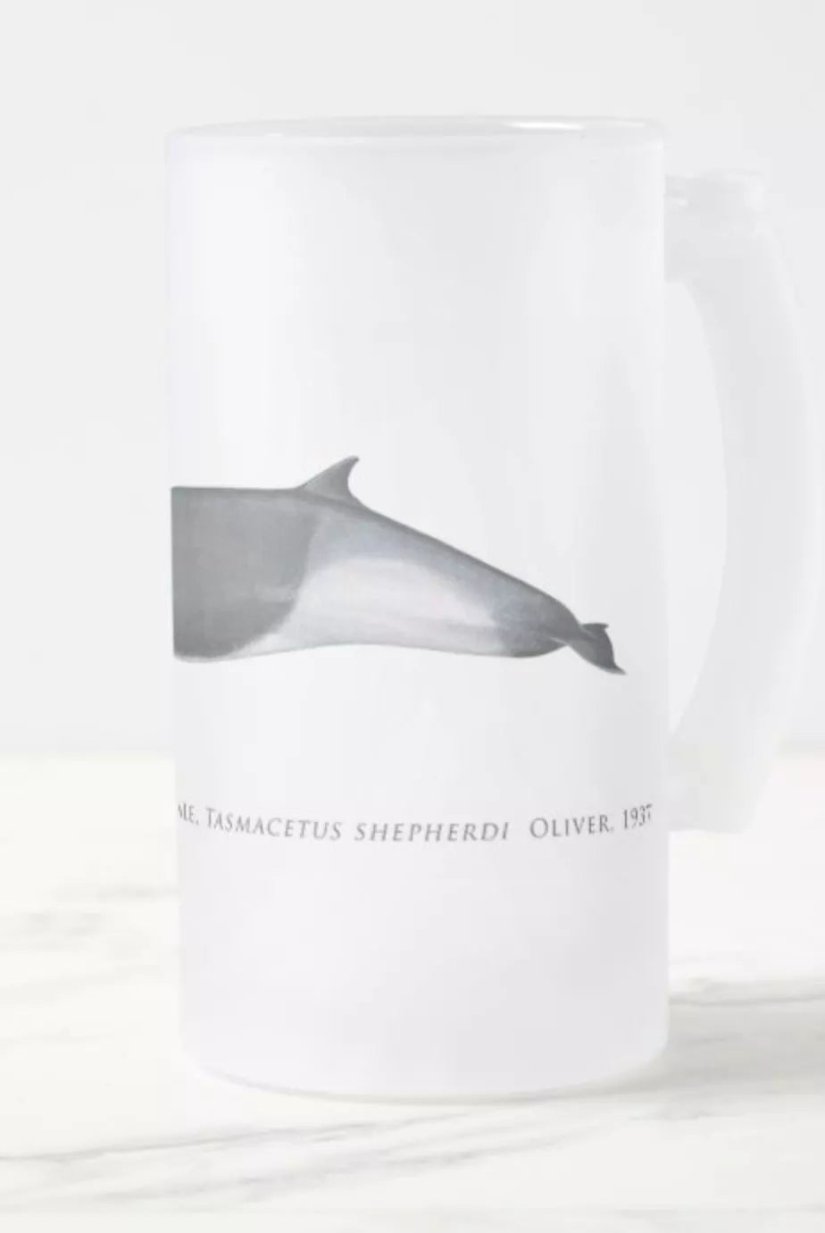 Shepherd's Beaked Whale - Frosted Glass Stein-Stick Figure Fish Illustration