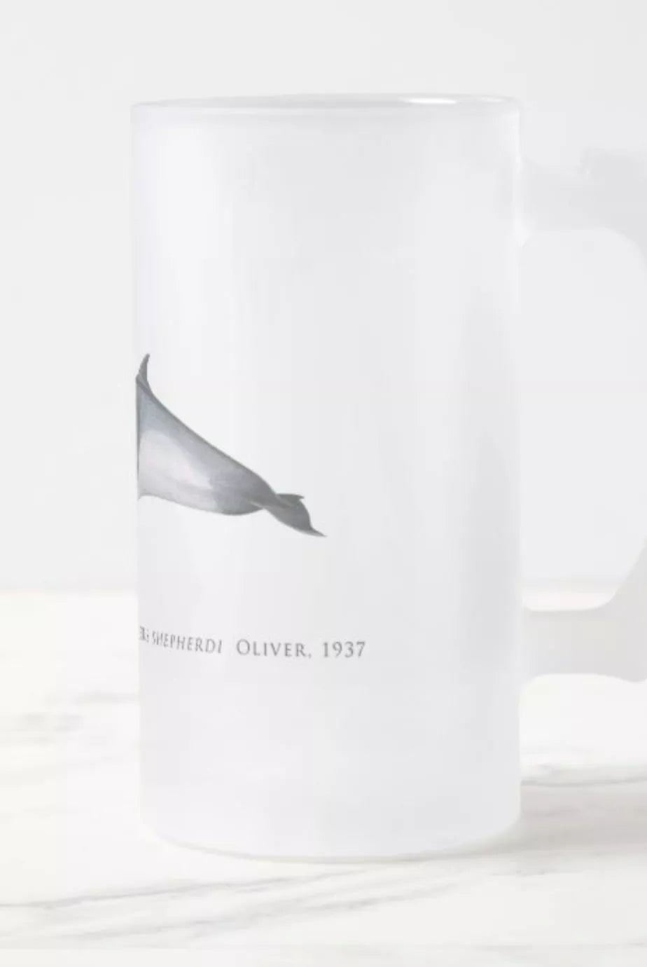 Shepherd's Beaked Whale - Frosted Glass Stein-Stick Figure Fish Illustration