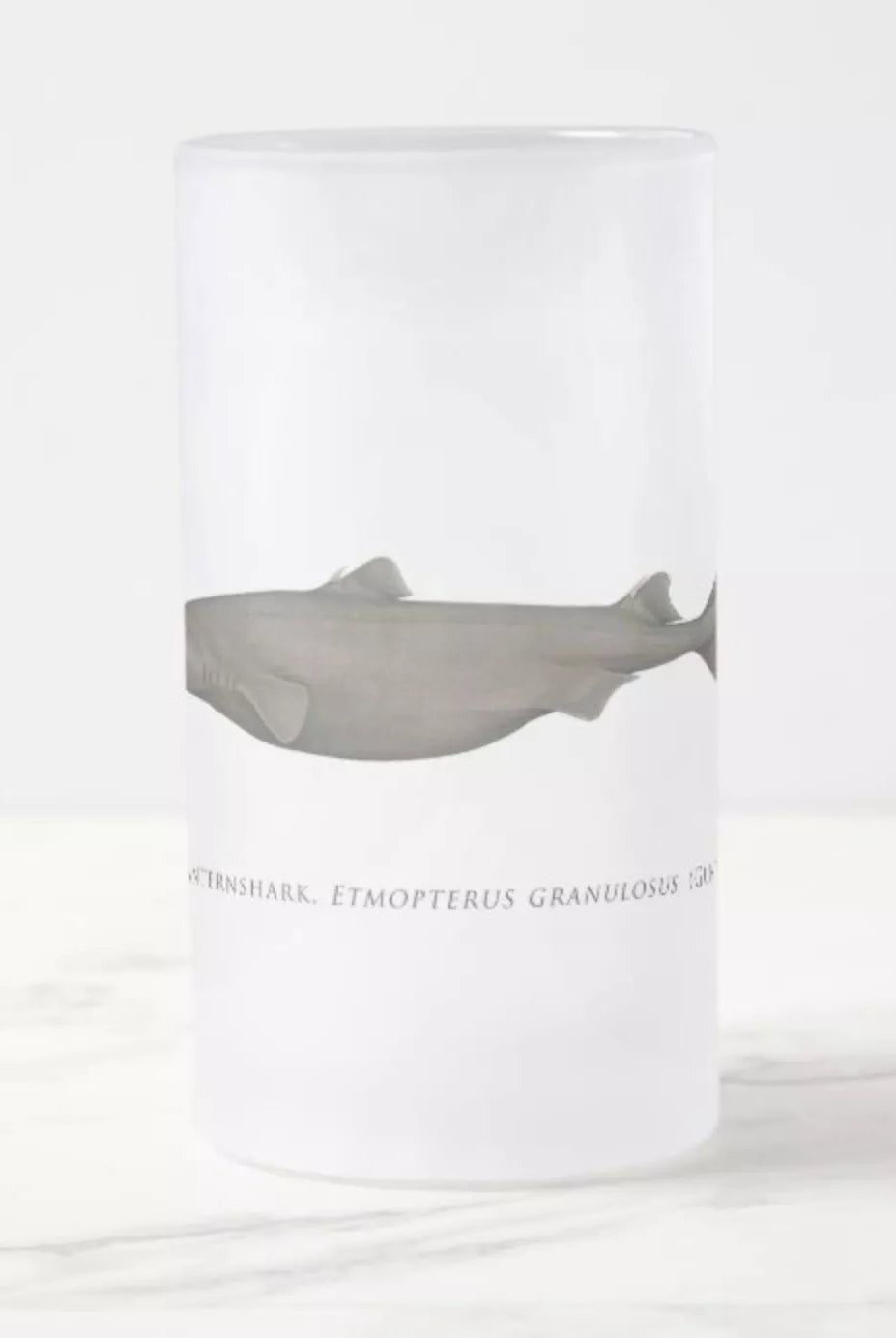 Southern Lanternshark - Frosted Glass Stein-Stick Figure Fish Illustration