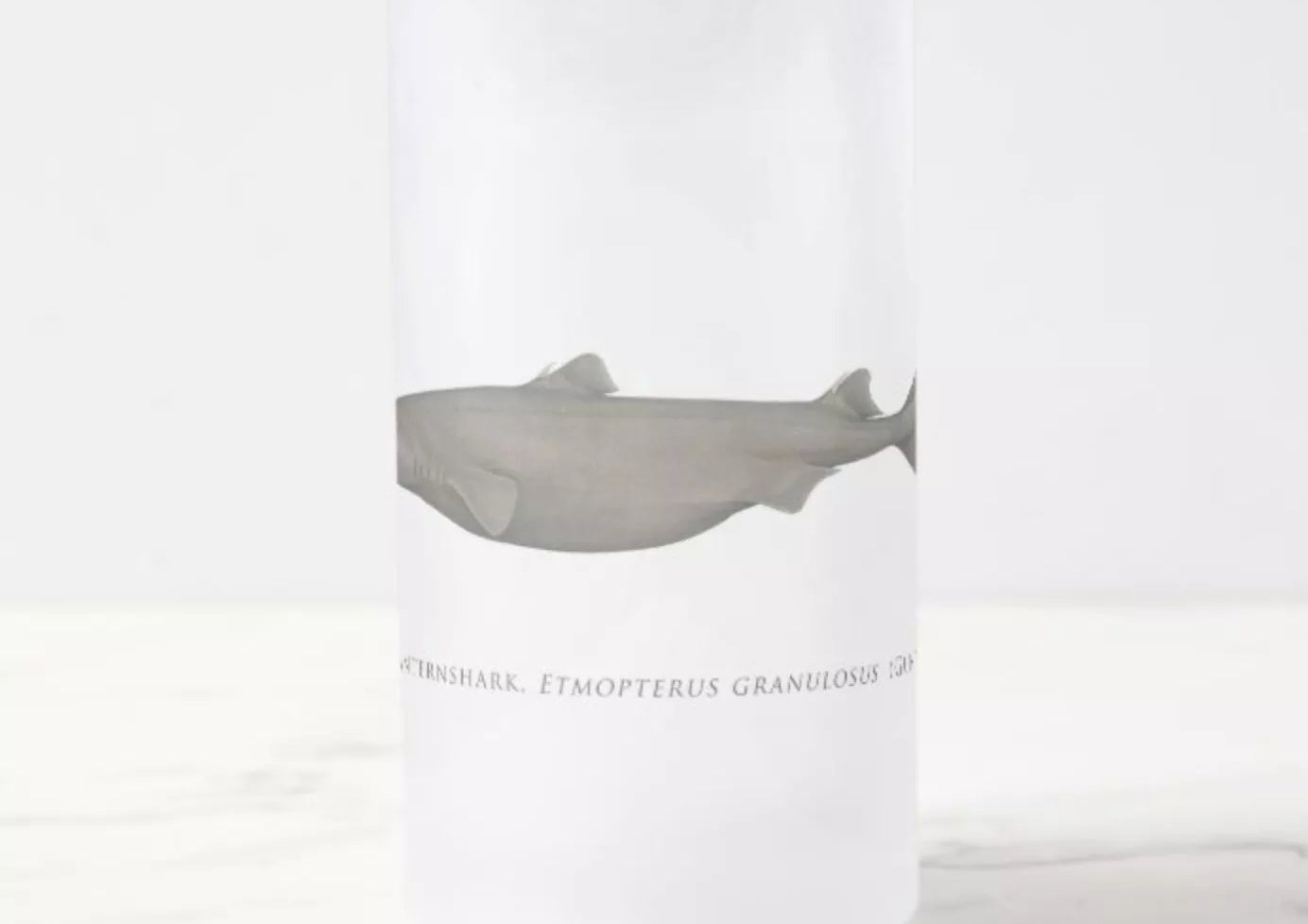 Southern Lanternshark - Frosted Glass Stein-Stick Figure Fish Illustration