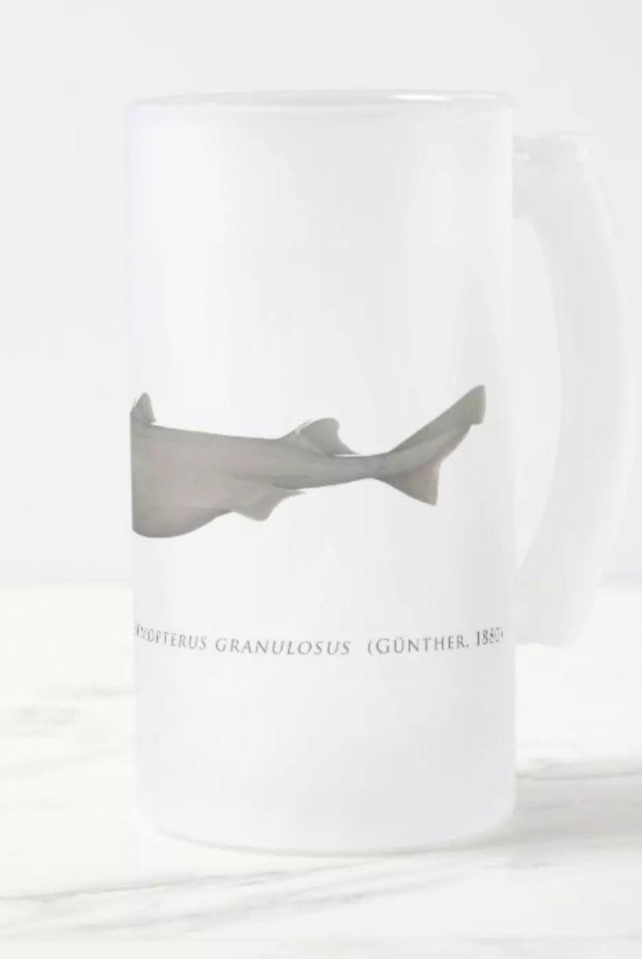 Southern Lanternshark - Frosted Glass Stein-Stick Figure Fish Illustration
