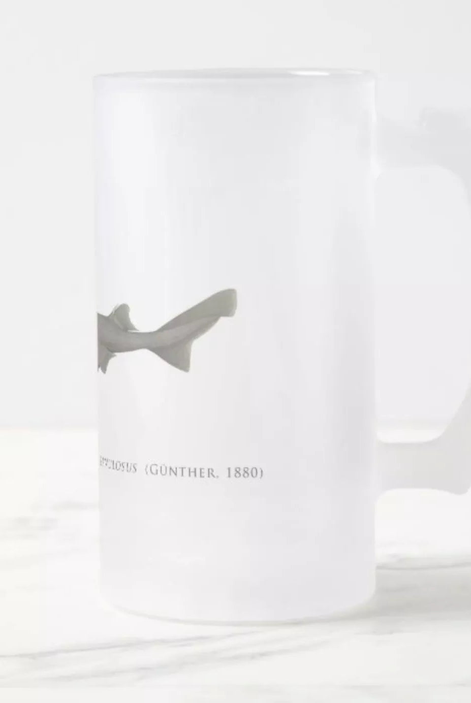 Southern Lanternshark - Frosted Glass Stein-Stick Figure Fish Illustration