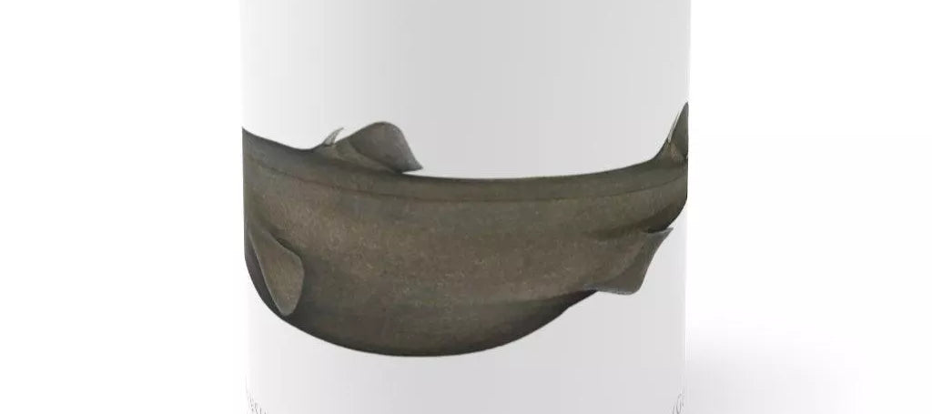 Southern Lanternshark Mug-Stick Figure Fish Illustration