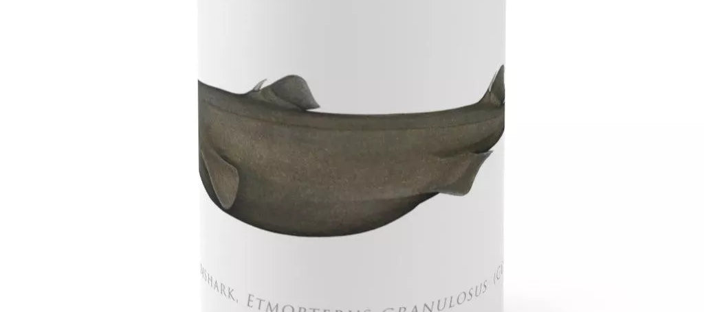 Southern Lanternshark Mug-Stick Figure Fish Illustration