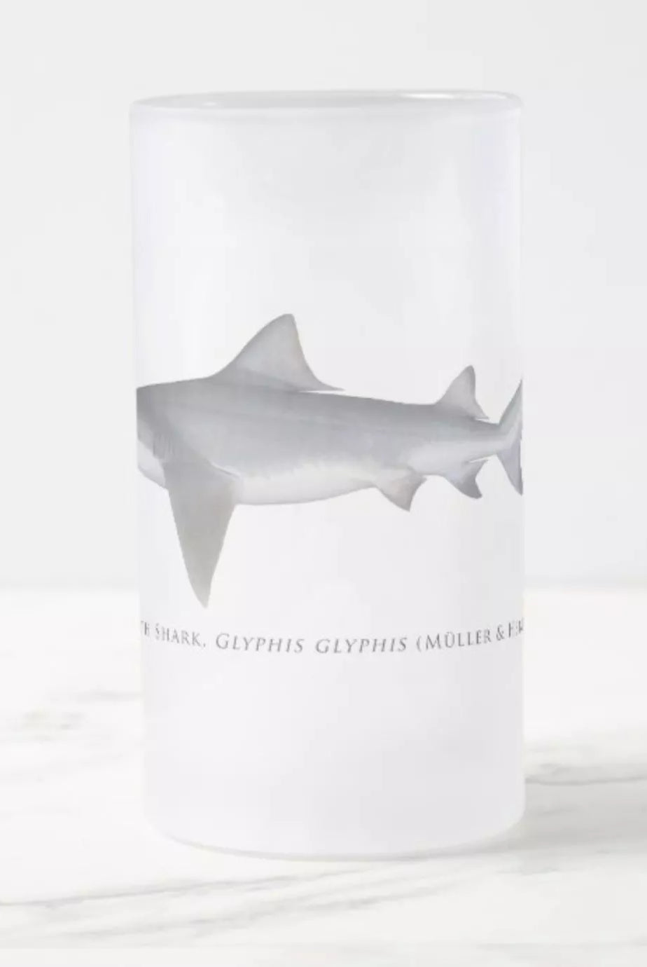 Speartooth Shark - Frosted Glass Stein-Stick Figure Fish Illustration