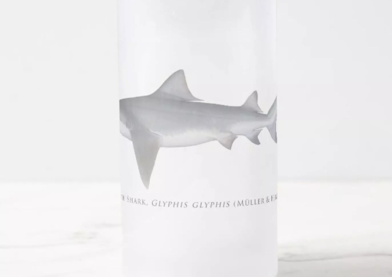 Speartooth Shark - Frosted Glass Stein-Stick Figure Fish Illustration