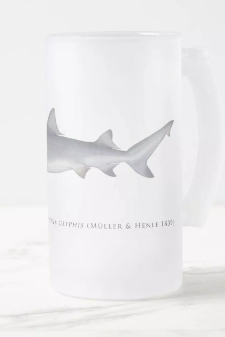 Speartooth Shark - Frosted Glass Stein-Stick Figure Fish Illustration