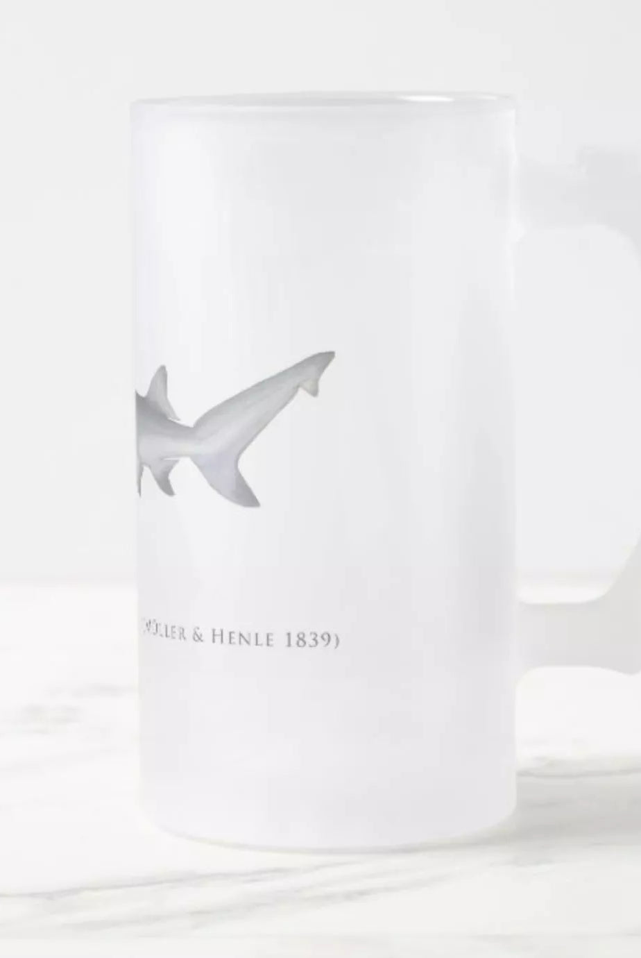 Speartooth Shark - Frosted Glass Stein-Stick Figure Fish Illustration