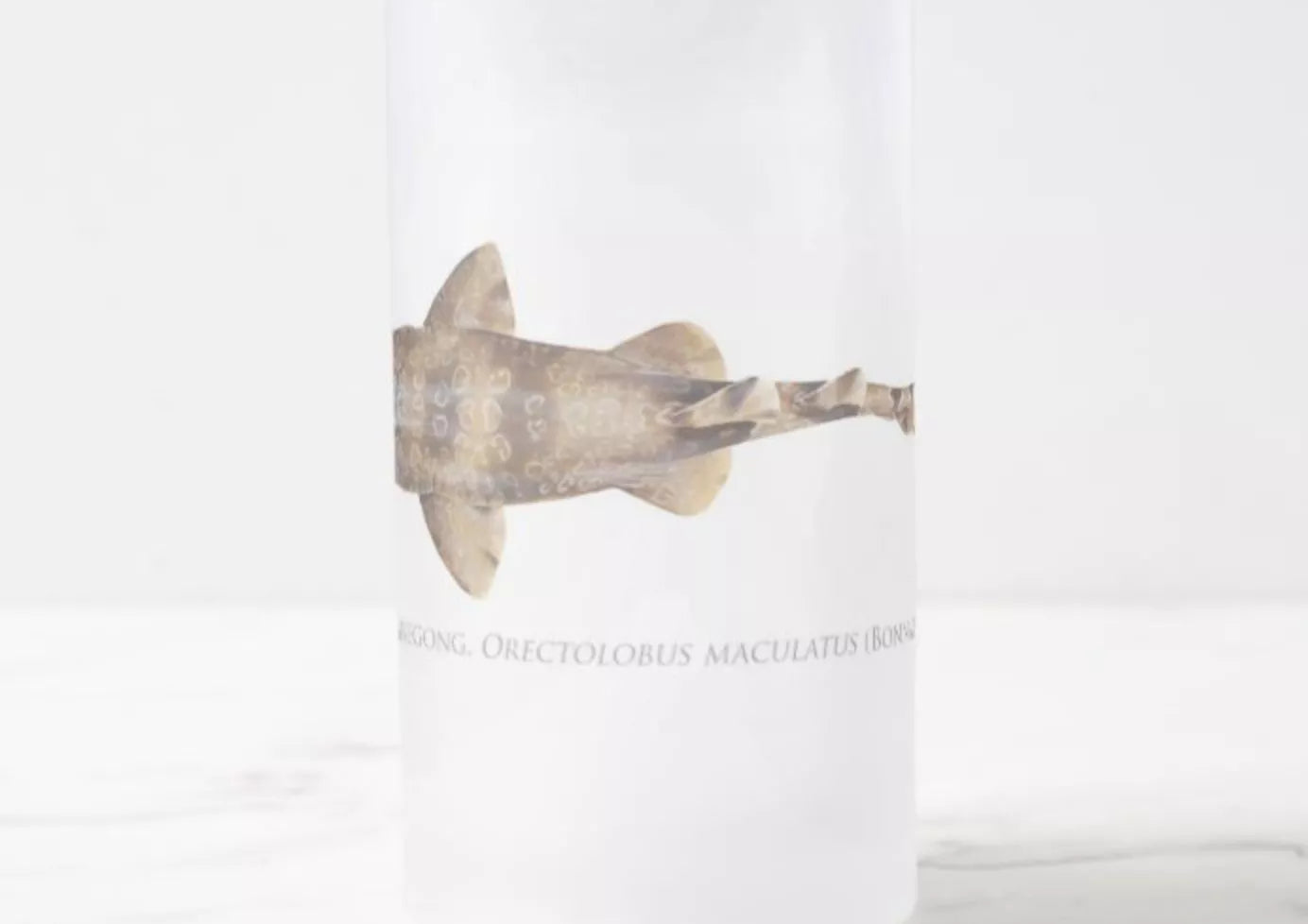 Spotted Wobbegong - Frosted Glass Stein-Stick Figure Fish Illustration