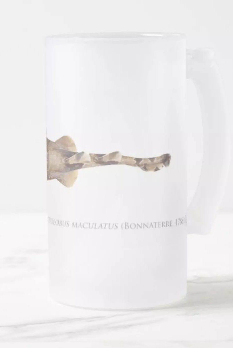 Spotted Wobbegong - Frosted Glass Stein-Stick Figure Fish Illustration