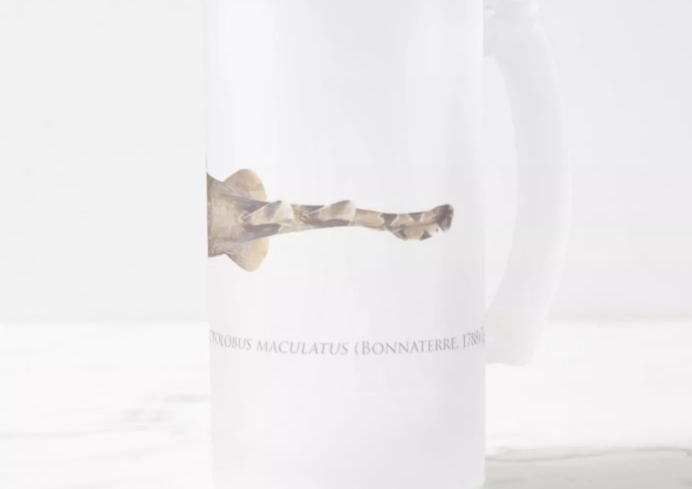 Spotted Wobbegong - Frosted Glass Stein-Stick Figure Fish Illustration