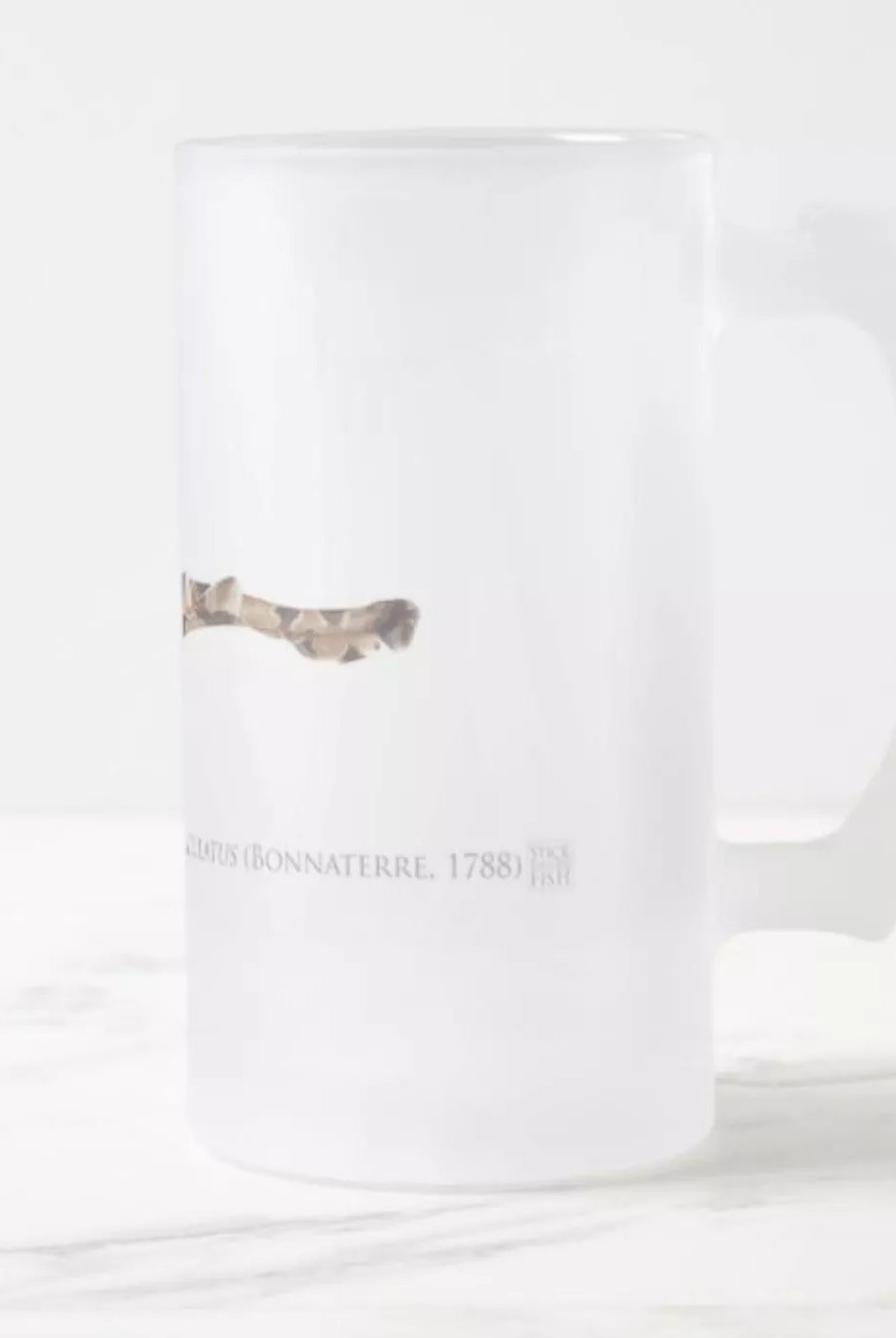 Spotted Wobbegong - Frosted Glass Stein-Stick Figure Fish Illustration