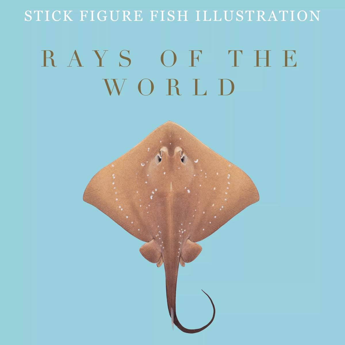 Stick Figure Fish 2021 Calendar - Rays of the world-Stick Figure Fish Illustration