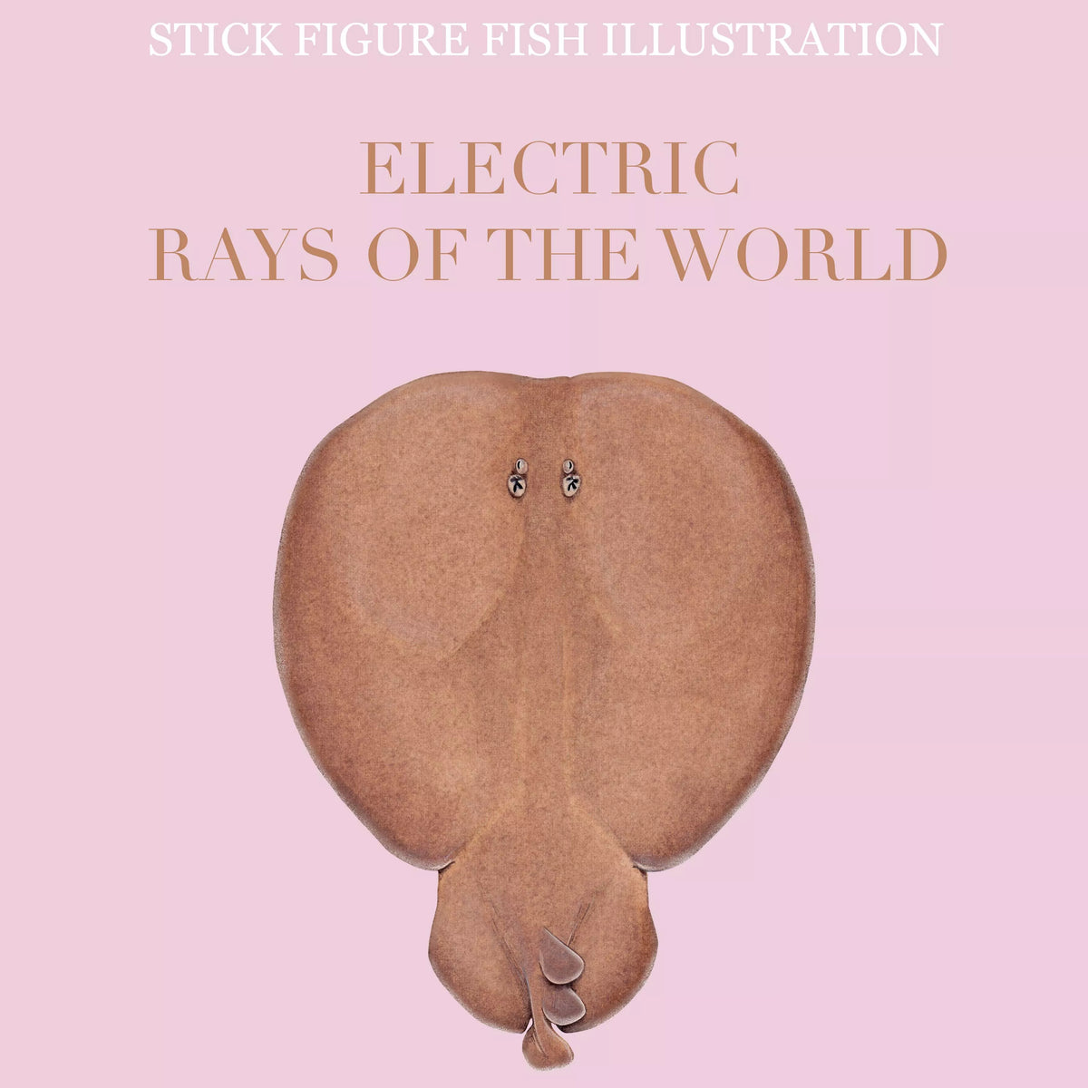 Stick Figure Fish 2022 Calendar - Electric Rays of the world-Stick Figure Fish Illustration