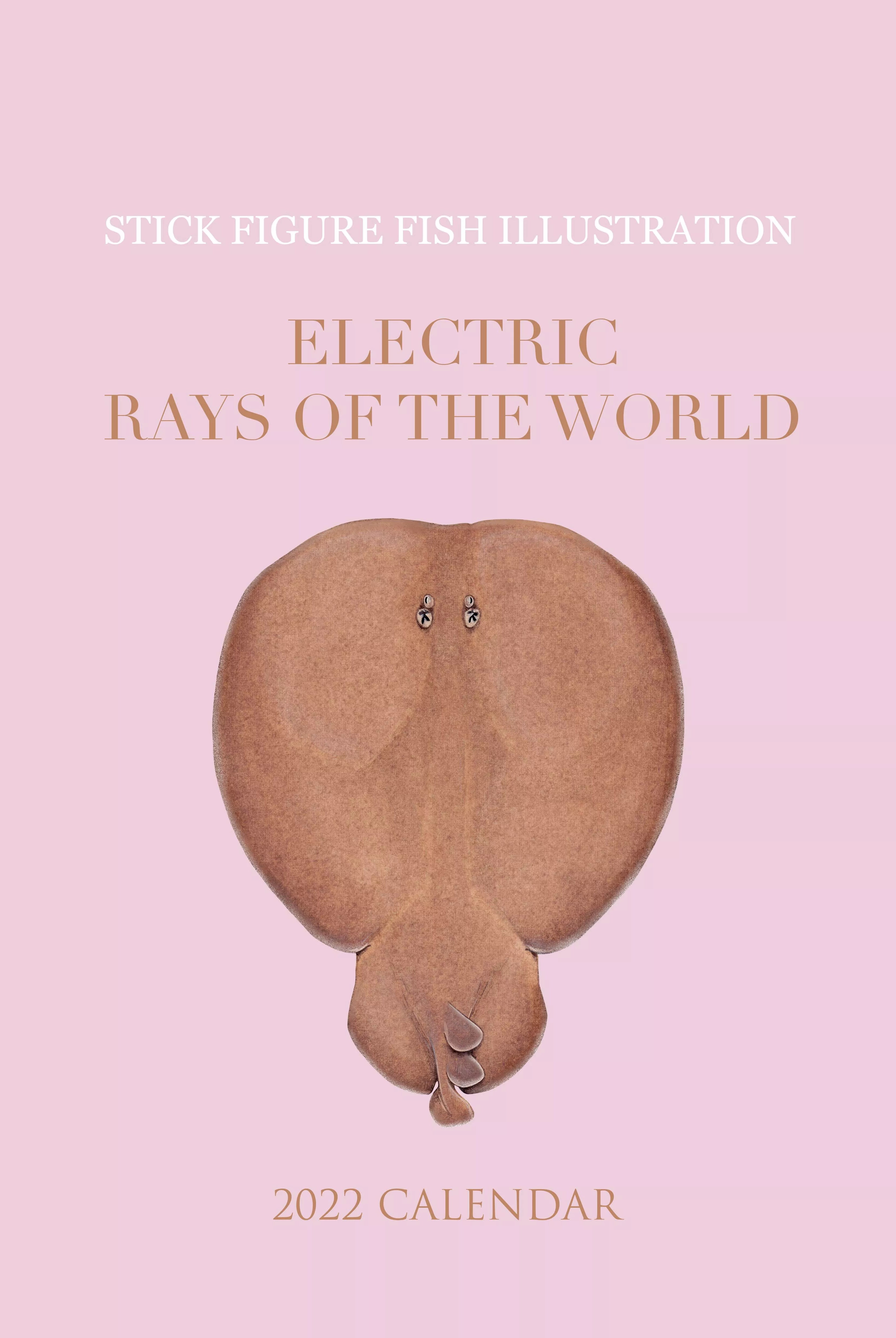 Stick Figure Fish 2022 Calendar - Electric Rays of the world-Stick Figure Fish Illustration