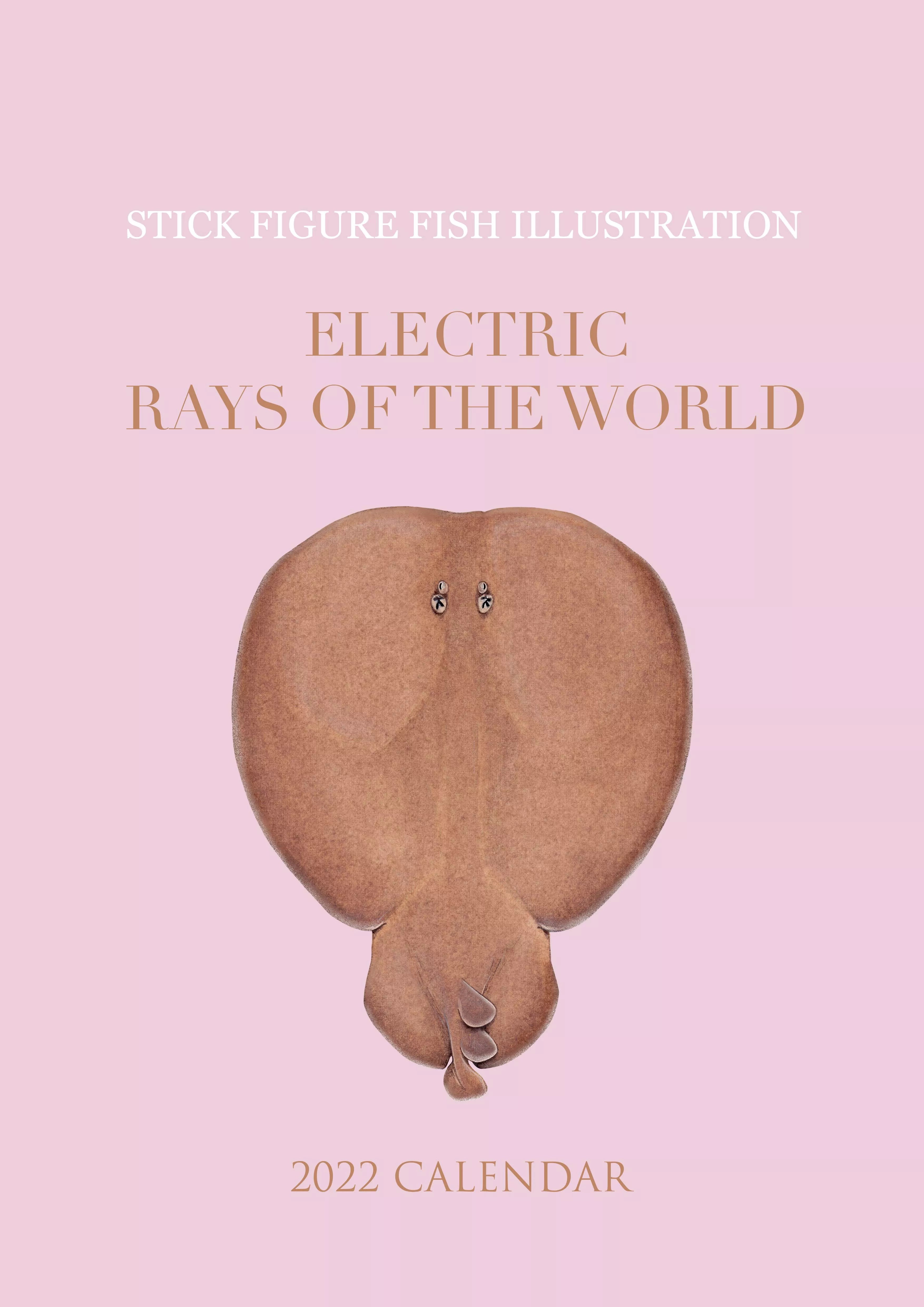 Stick Figure Fish 2022 Calendar - Electric Rays of the world-Stick Figure Fish Illustration