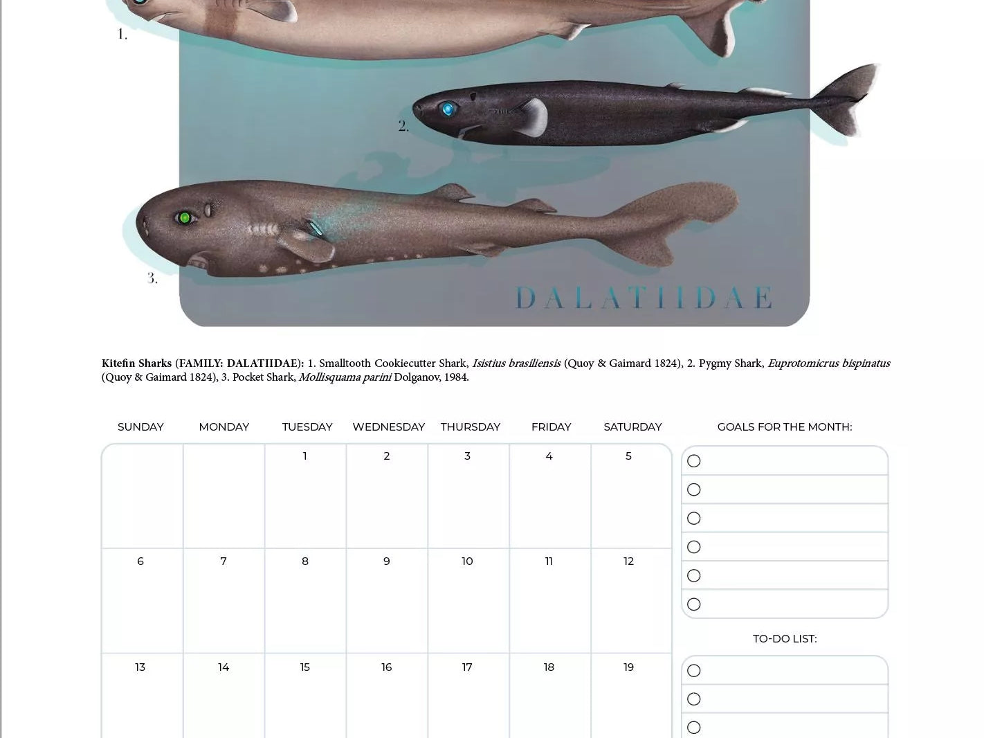 Stick Figure Fish 2023 Calendar - Sharks of the Deep-Stick Figure Fish Illustration