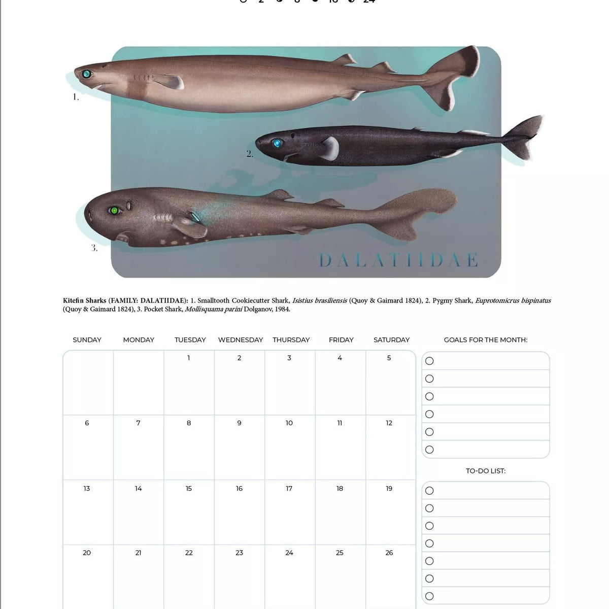 Stick Figure Fish 2023 Calendar - Sharks of the Deep-Stick Figure Fish Illustration