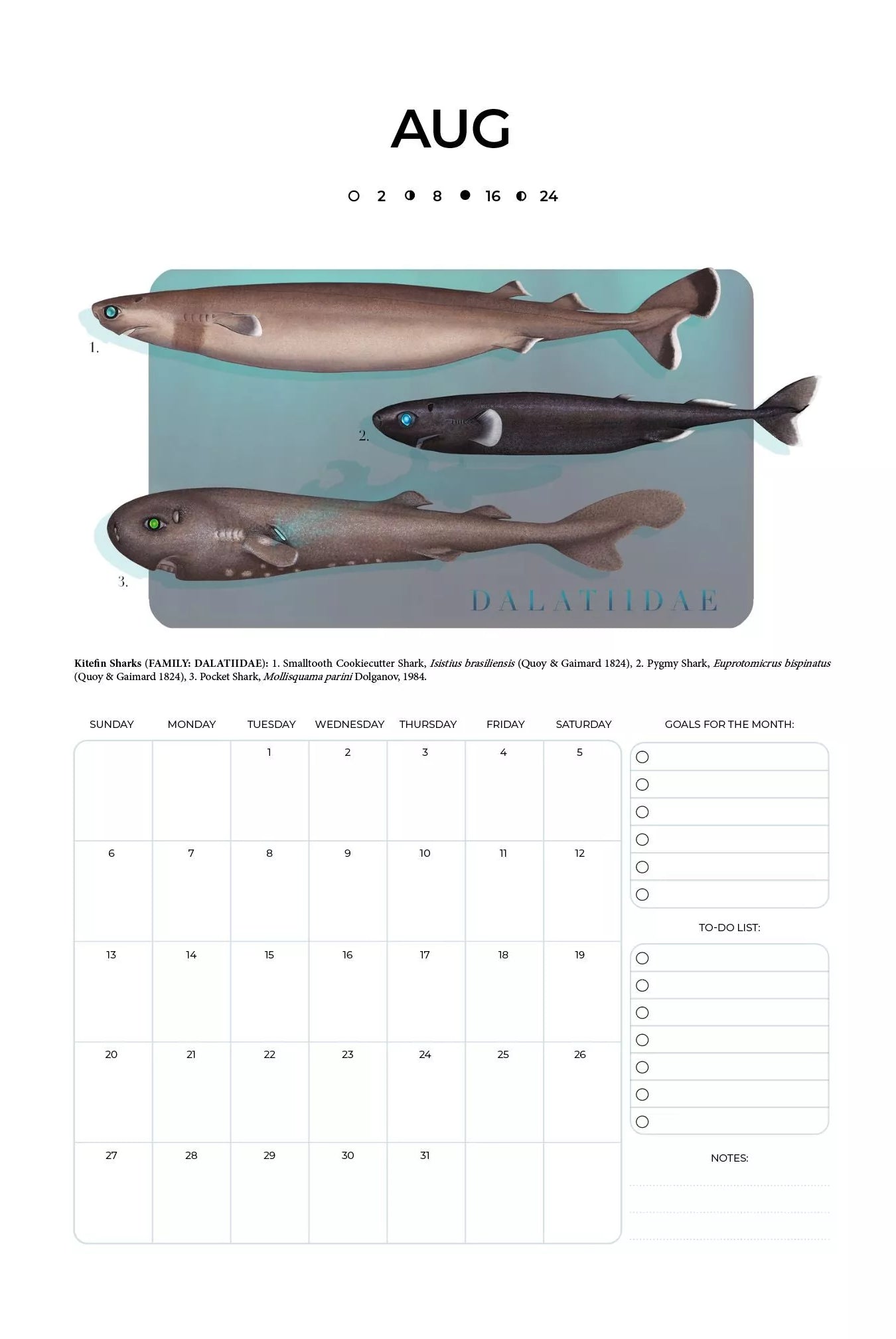 Stick Figure Fish 2023 Calendar - Sharks of the Deep-Stick Figure Fish Illustration