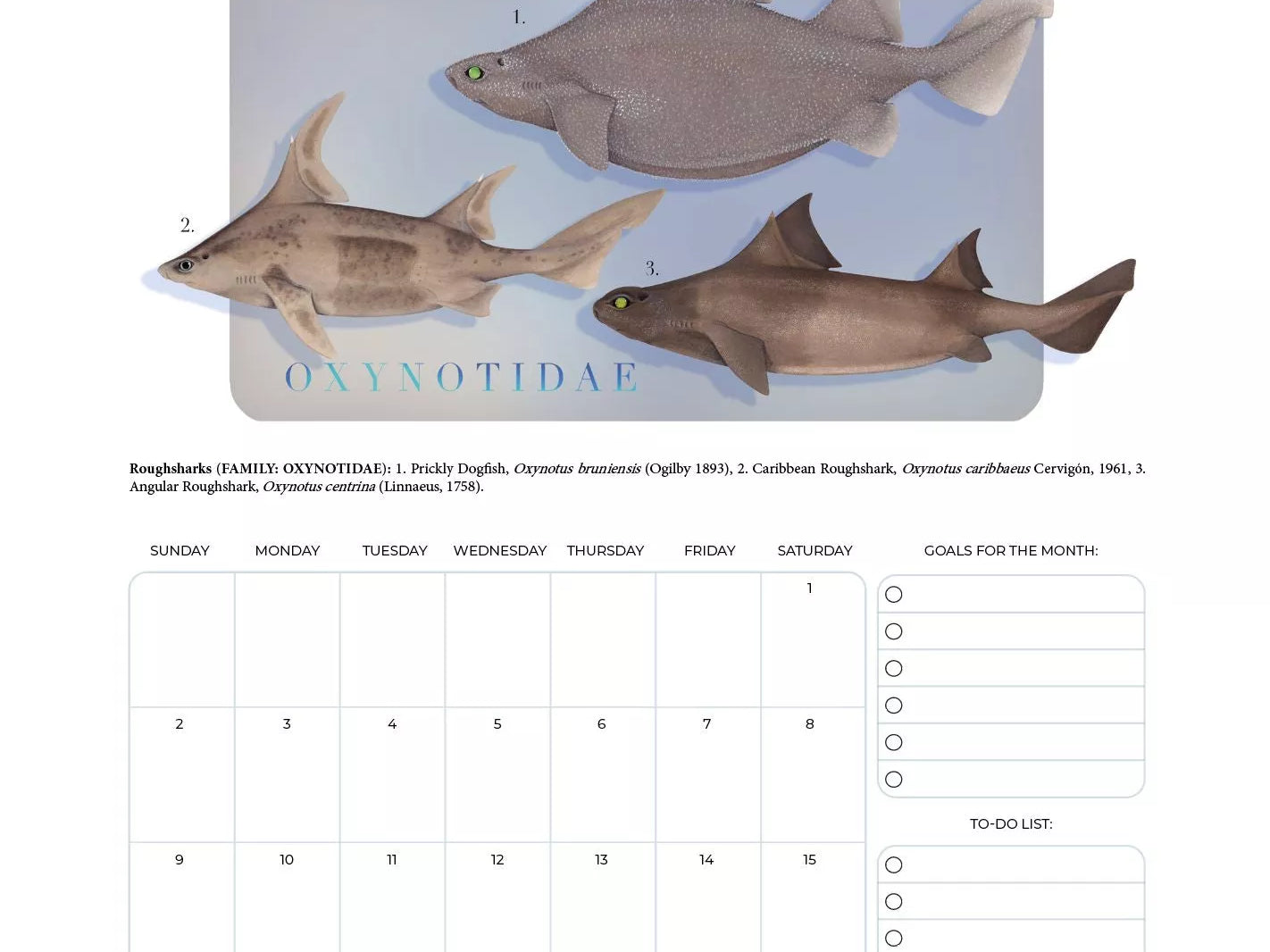 Stick Figure Fish 2023 Calendar - Sharks of the Deep-Stick Figure Fish Illustration