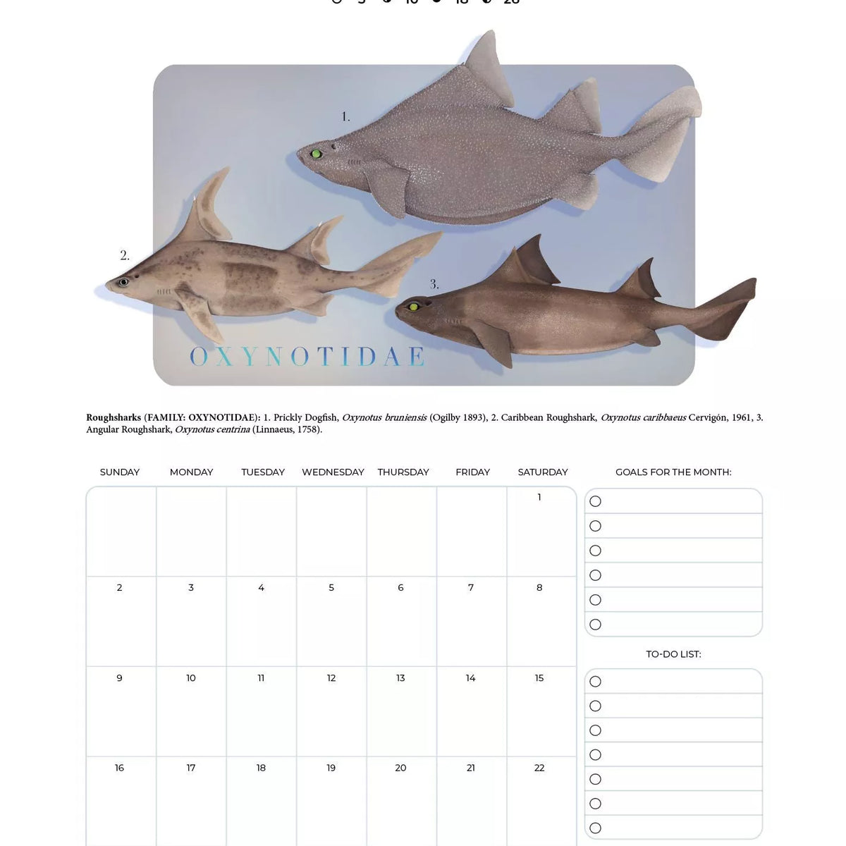 Stick Figure Fish 2023 Calendar - Sharks of the Deep-Stick Figure Fish Illustration