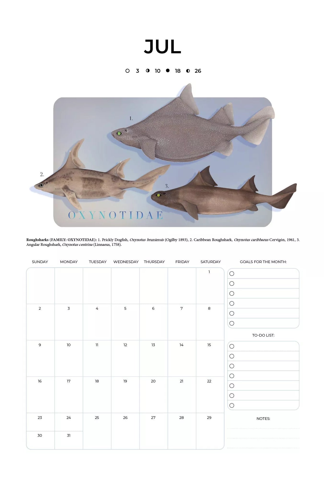 Stick Figure Fish 2023 Calendar - Sharks of the Deep-Stick Figure Fish Illustration