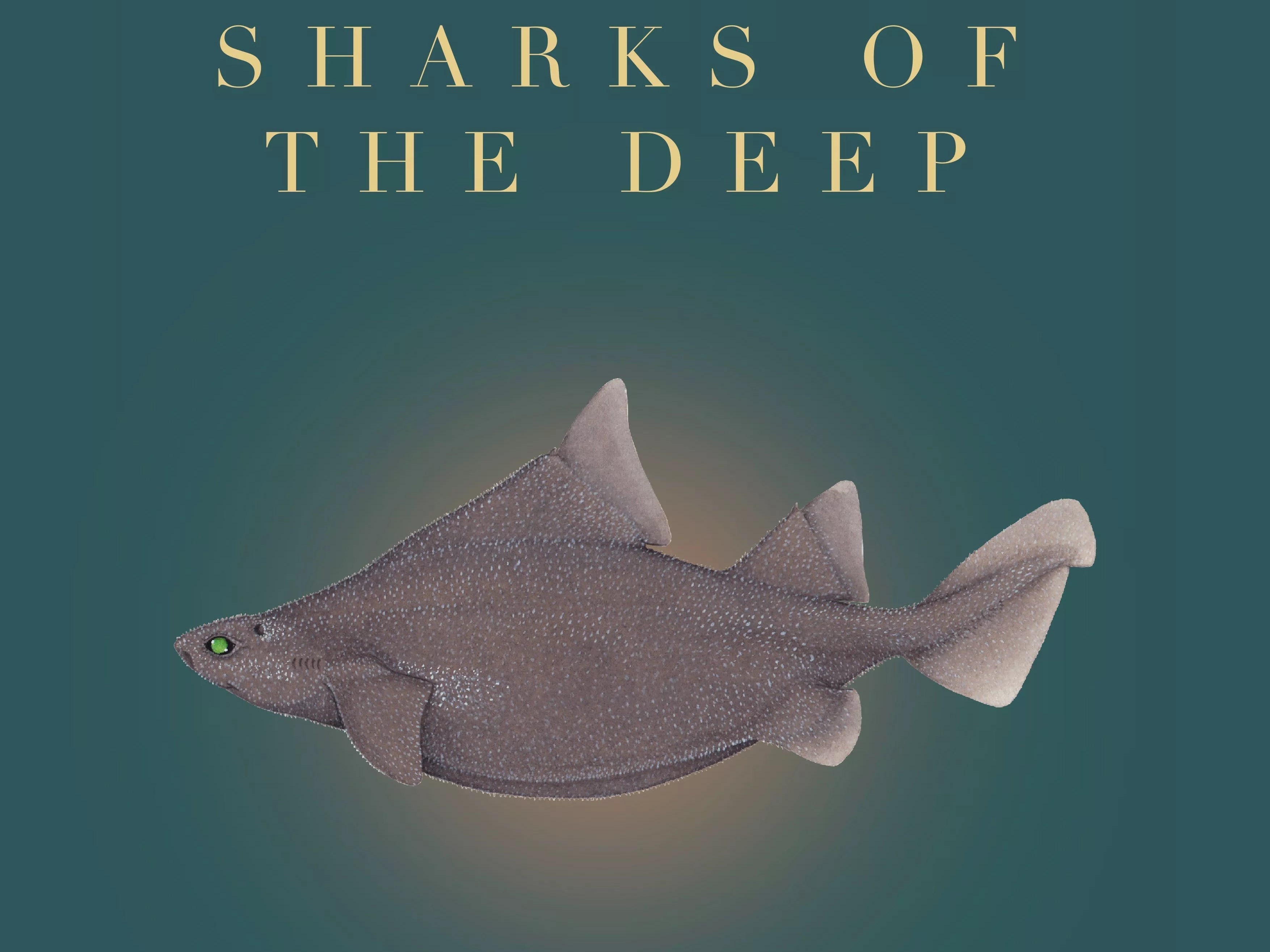 Stick Figure Fish 2023 Calendar - Sharks of the Deep-Stick Figure Fish Illustration