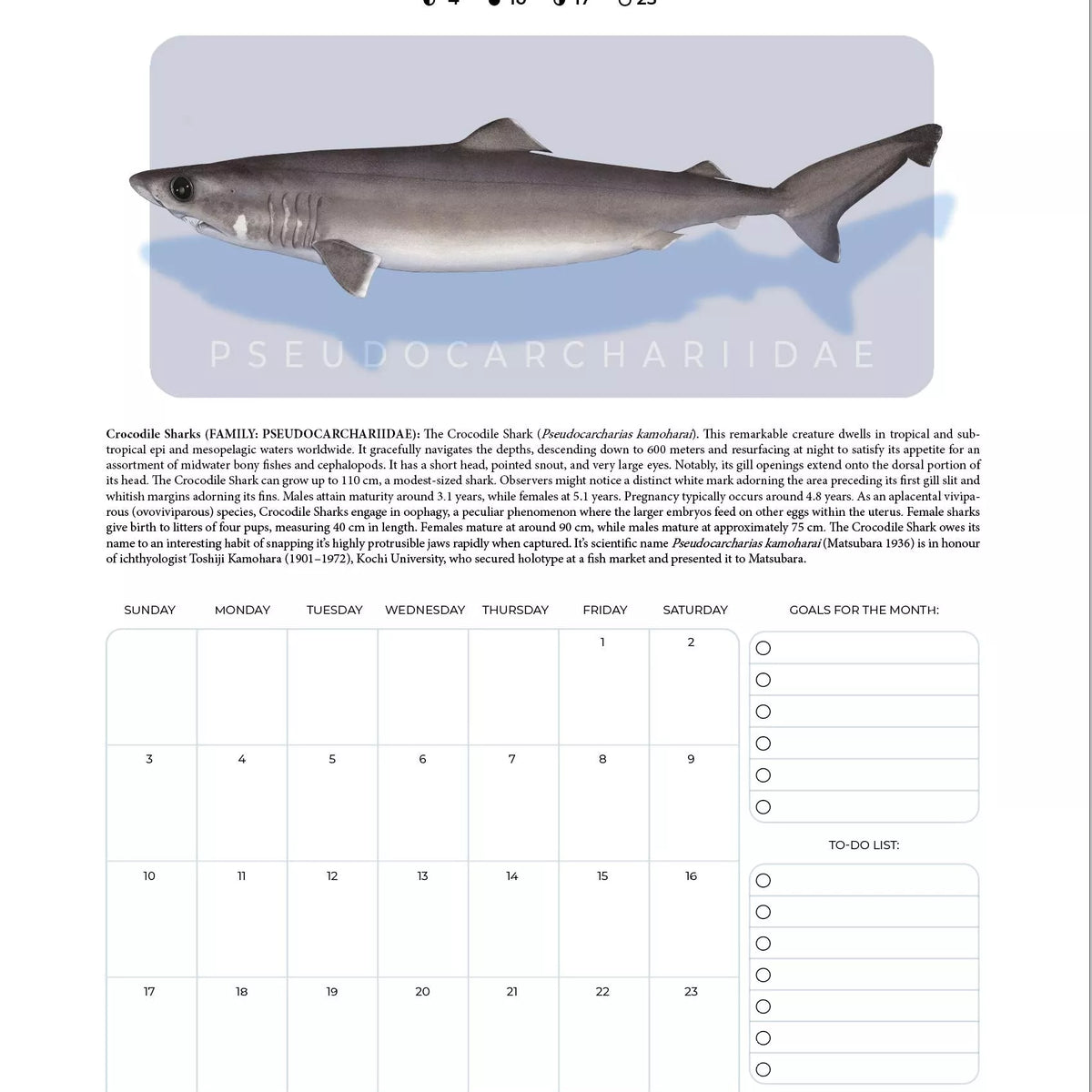 Stick Figure Fish 2024 Limited Edition Calendar - Sharks & Rays of the Open Ocean-Stick Figure Fish Illustration