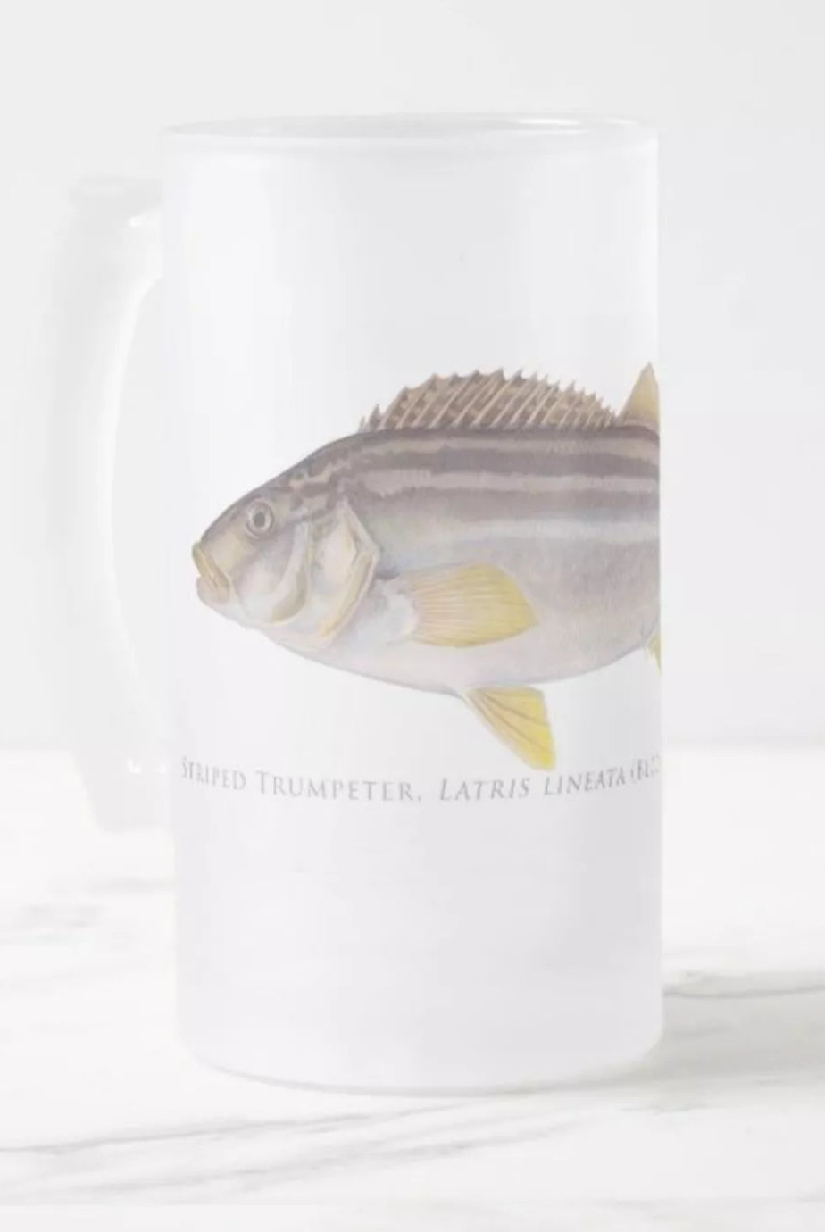 Striped Trumpeter - Frosted Glass Stein-Stick Figure Fish Illustration