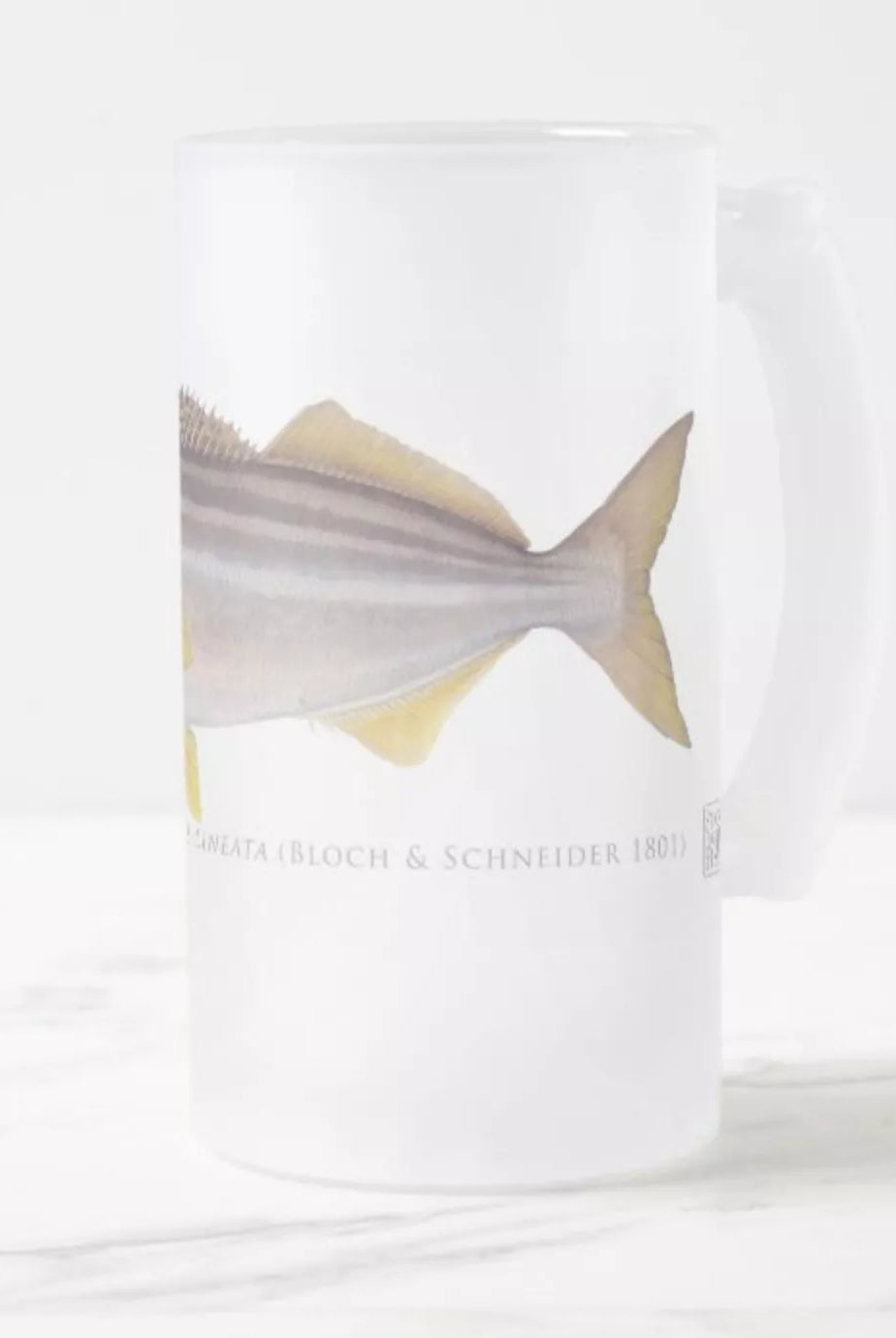 Striped Trumpeter - Frosted Glass Stein-Stick Figure Fish Illustration