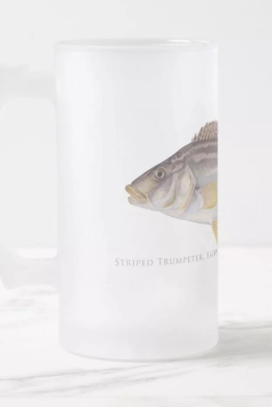 Striped Trumpeter - Frosted Glass Stein-Stick Figure Fish Illustration