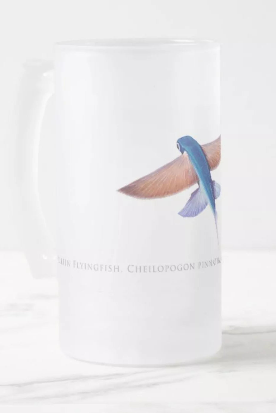 Tallfin Flyingfish - Frosted Glass Stein-Stick Figure Fish Illustration
