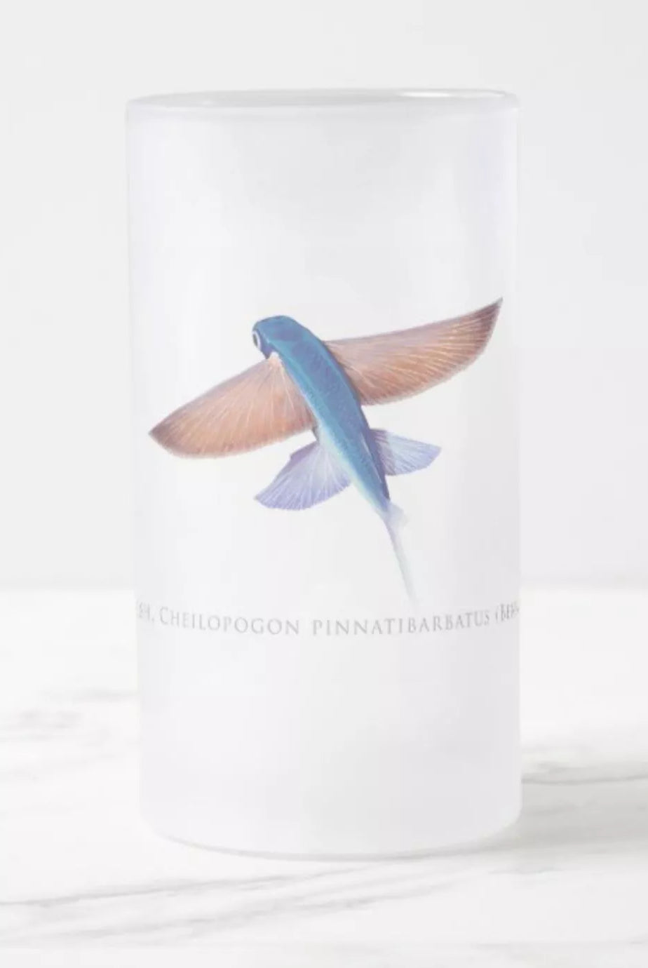 Tallfin Flyingfish - Frosted Glass Stein-Stick Figure Fish Illustration