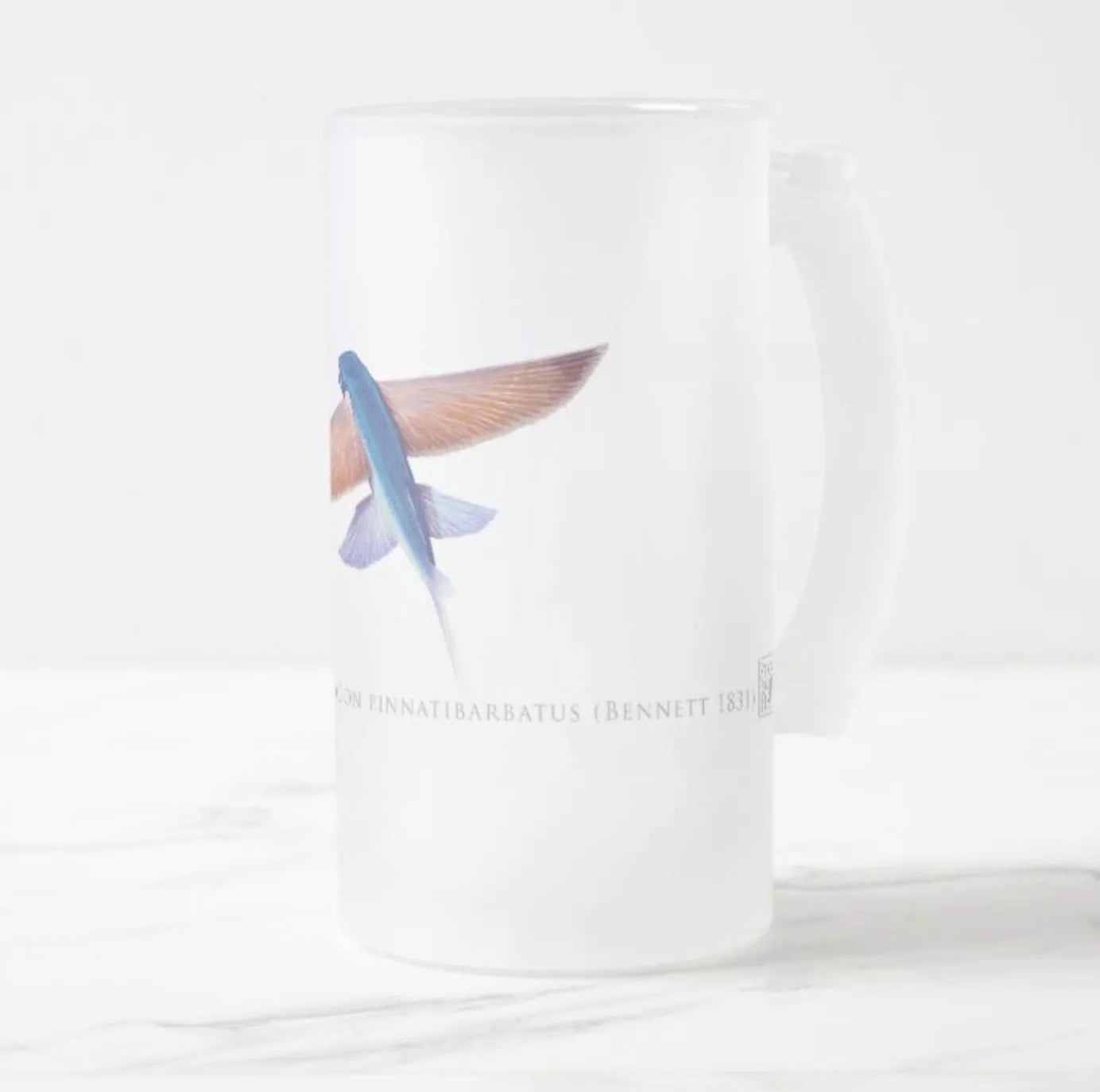 Tallfin Flyingfish - Frosted Glass Stein-Stick Figure Fish Illustration