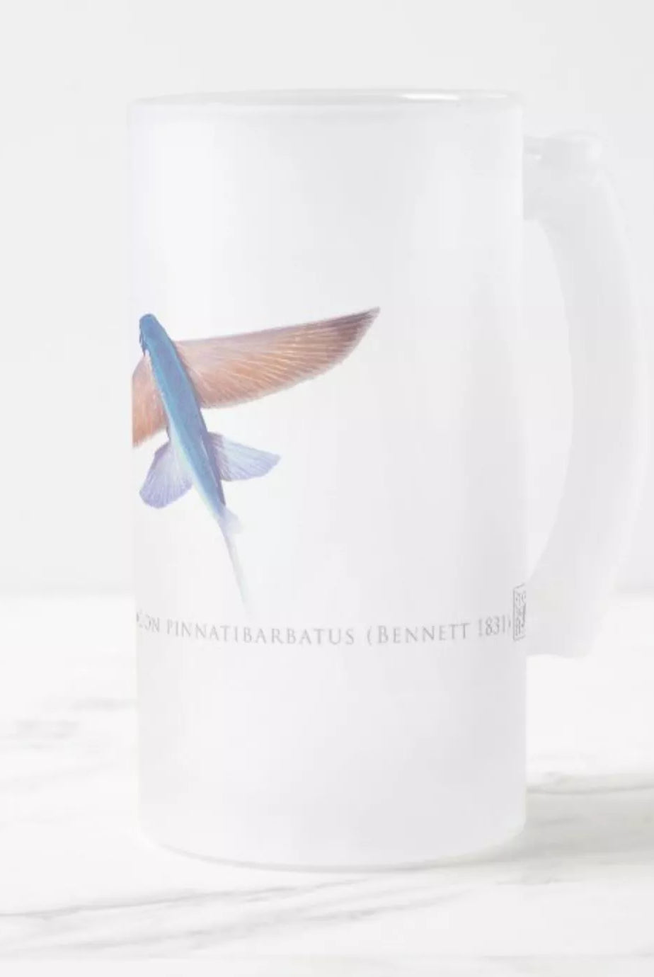 Tallfin Flyingfish - Frosted Glass Stein-Stick Figure Fish Illustration