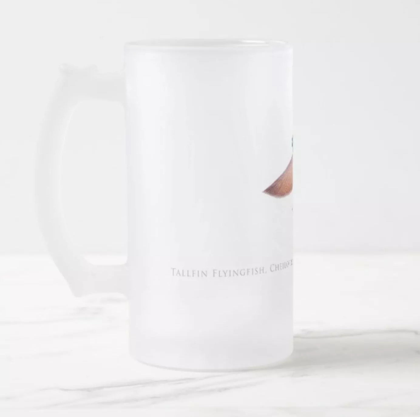 Tallfin Flyingfish - Frosted Glass Stein-Stick Figure Fish Illustration