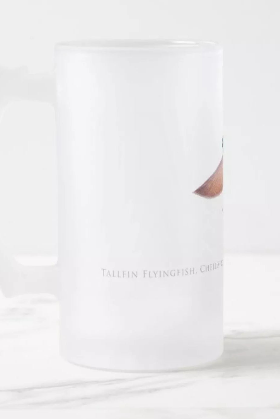 Tallfin Flyingfish - Frosted Glass Stein-Stick Figure Fish Illustration