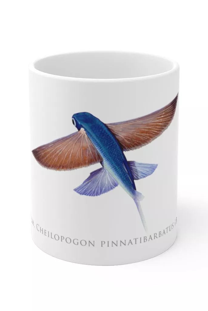 Tallfin Flyingfish Mug-Stick Figure Fish Illustration