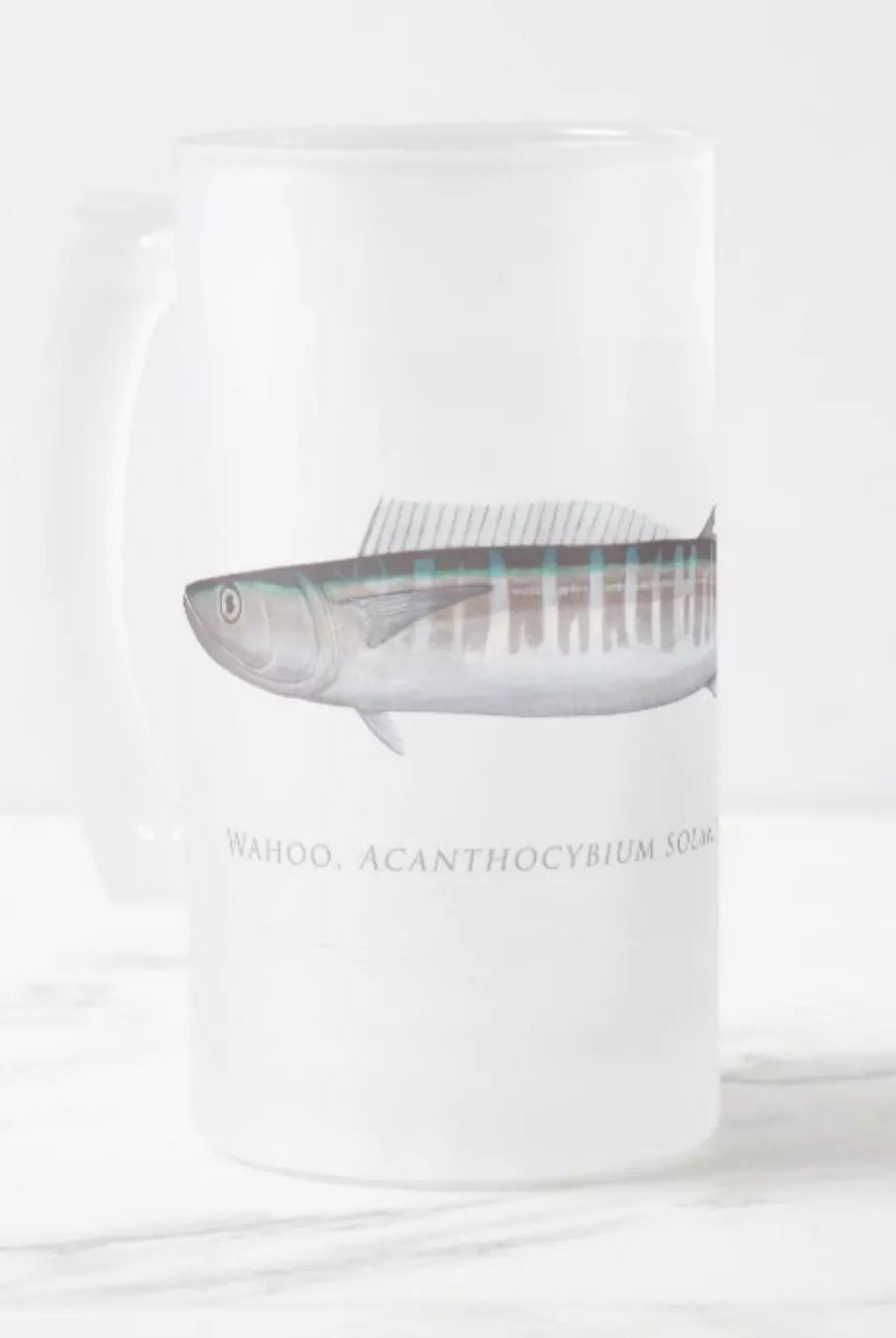 Wahoo No. 1 - Frosted Glass Stein-Stick Figure Fish Illustration