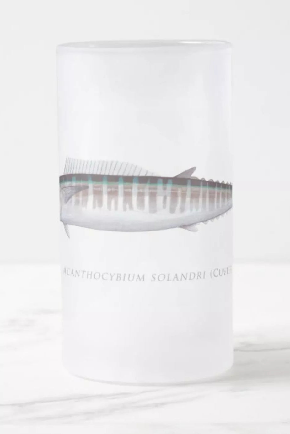 Wahoo No. 1 - Frosted Glass Stein-Stick Figure Fish Illustration