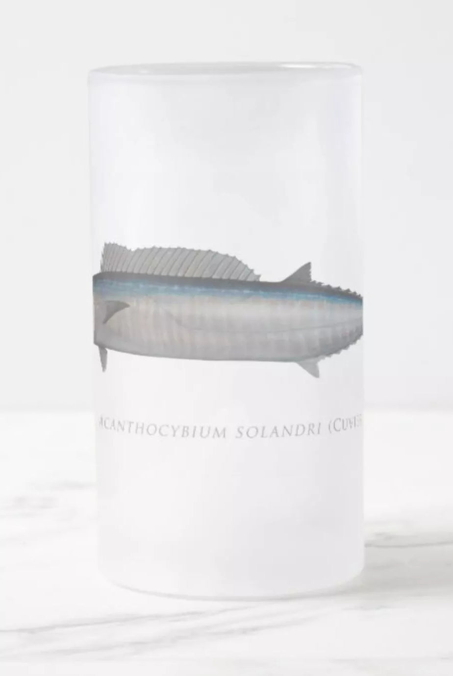 Wahoo No. 2 - Frosted Glass Stein-Stick Figure Fish Illustration