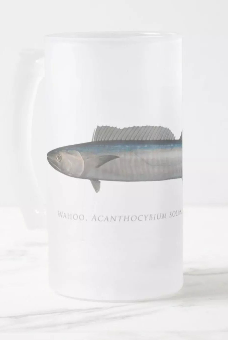 Wahoo No. 2 - Frosted Glass Stein-Stick Figure Fish Illustration