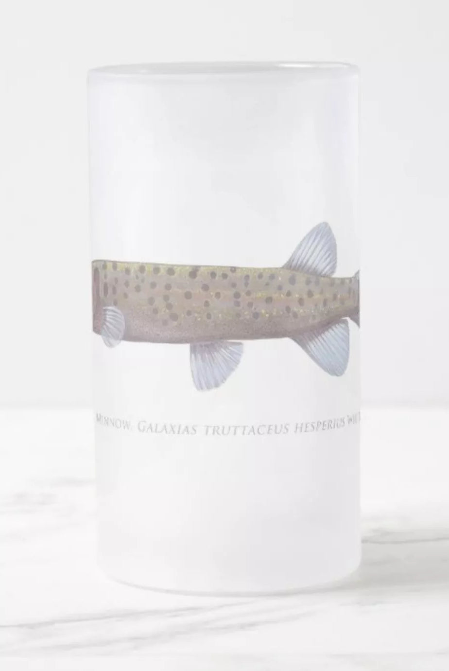 Western Trout Minnow - Frosted Glass Stein-Stick Figure Fish Illustration